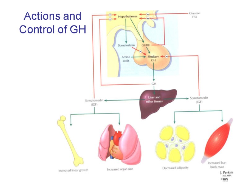 Actions and Control of GH